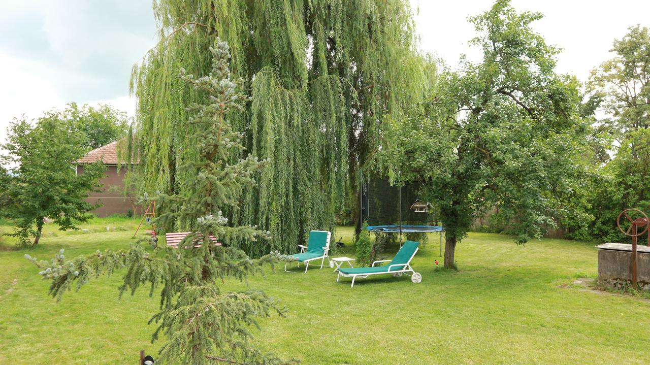 Home Tara Haţeg Extérieur photo